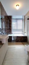 Viz At Holland (D10), Condominium #437844871